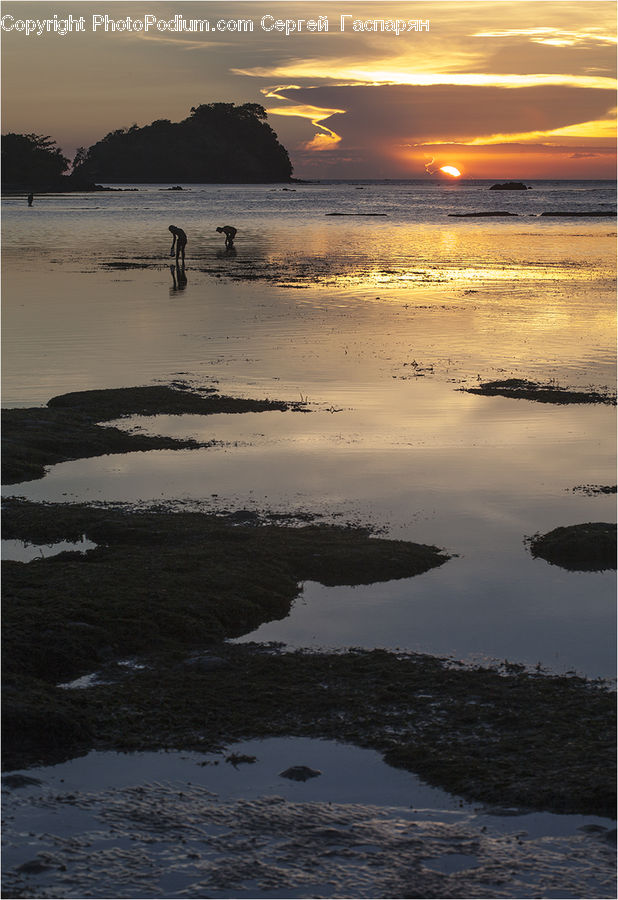 Beach, Coast, Outdoors, Sea, Water, Dawn, Dusk