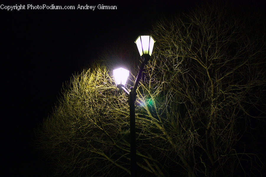Lamp Post, Pole, Field, Grass, Grassland, Plant
