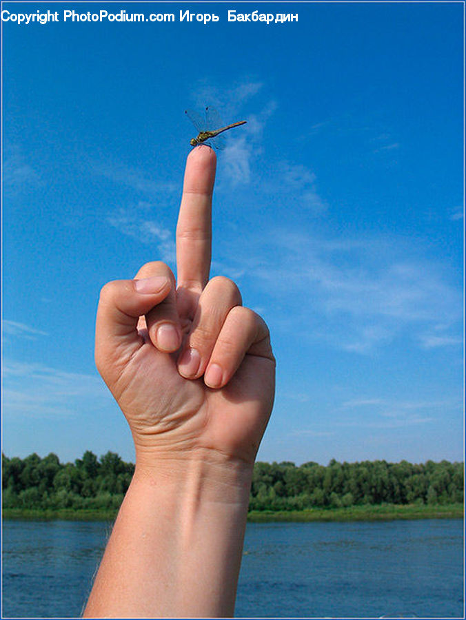 People, Person, Human, Finger, Hand, Leisure Activities