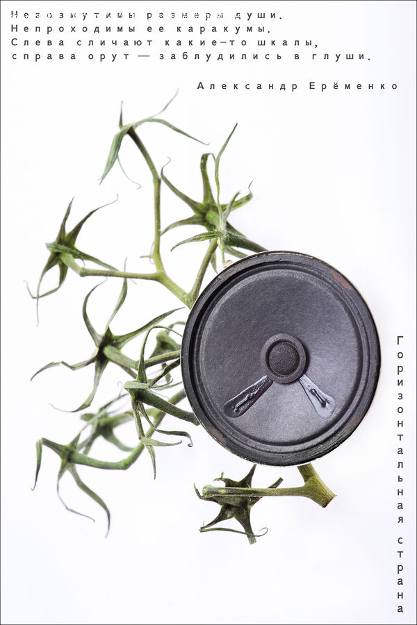 Accessories, Plant