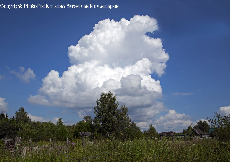 Cloud, Cumulus, Sky, Azure Sky, Outdoors, Landscape, Nature