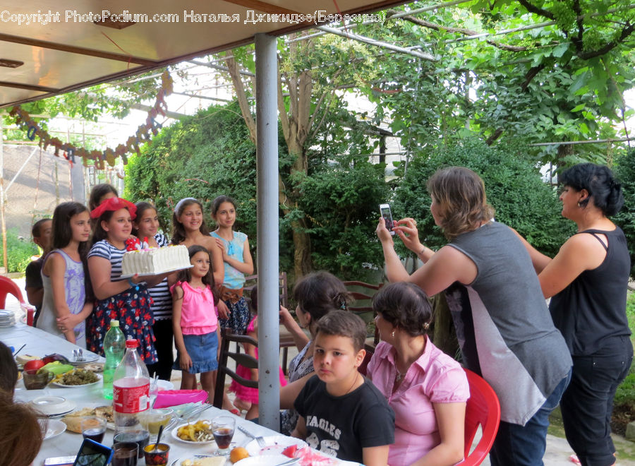 People, Person, Human, Picnic, Bazaar, Market, Shop