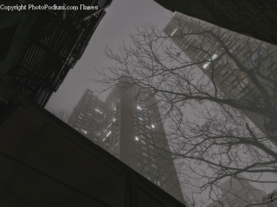 Blizzard, Outdoors, Snow, Weather, Winter, Building, City