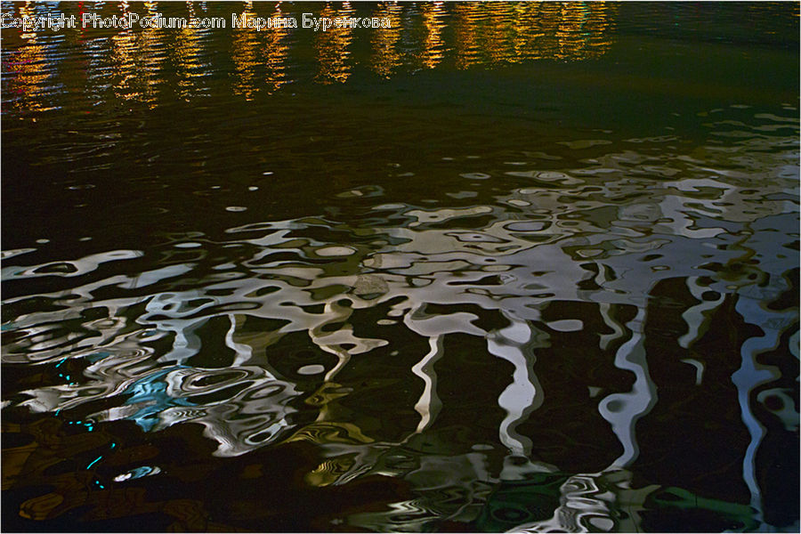 Flower, Lily, Plant, Pond Lily, Outdoors, Ripple, Water