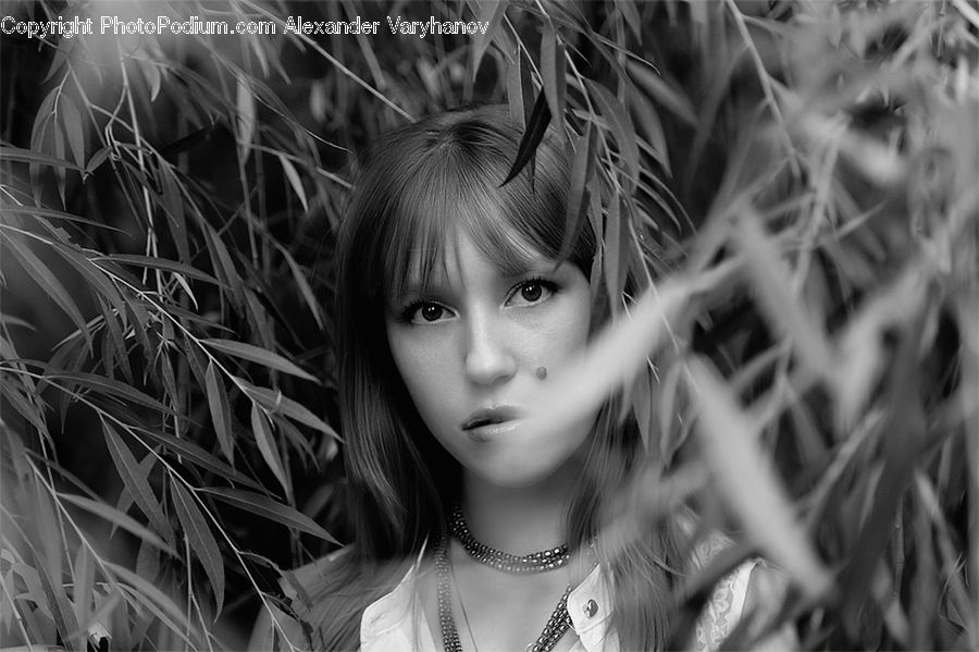 Person, Portrait, Female, Girl, Woman, Face