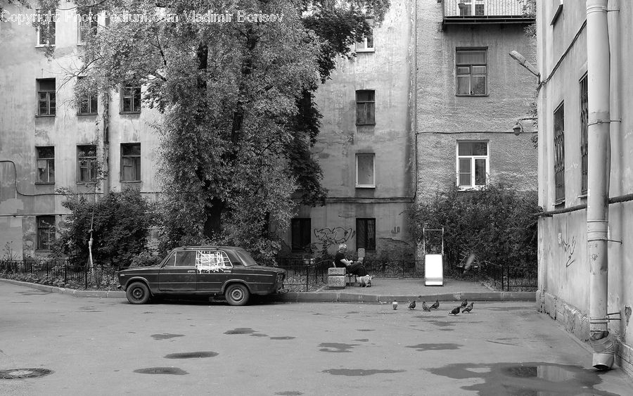 Bench, Automobile, Car, Vehicle, Suv, Van, Downtown