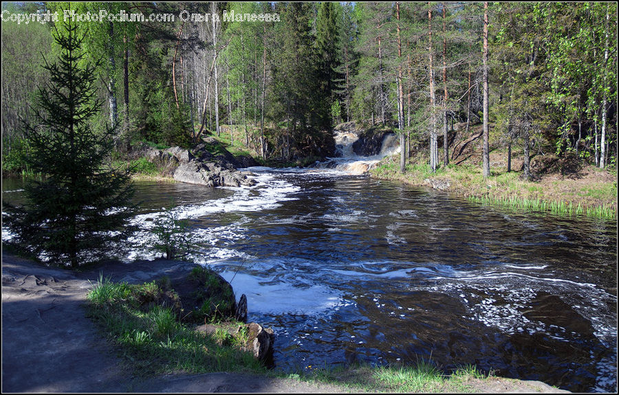 Creek, Outdoors, River, Water, Field, Grass, Grassland