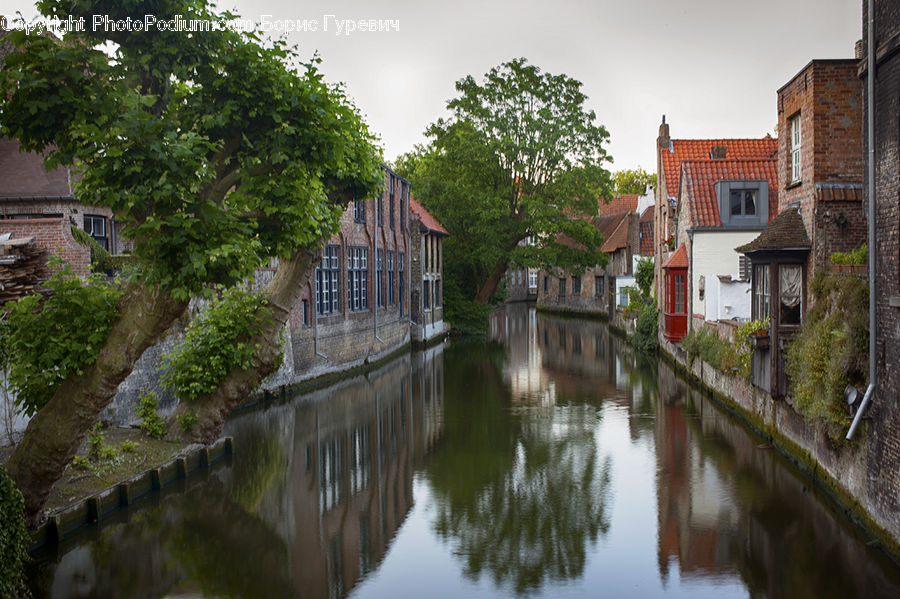 Canal, Outdoors, River, Water, Ivy, Plant, Vine