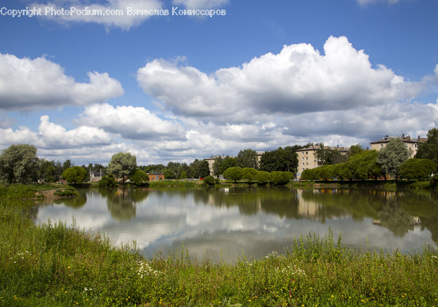 Outdoors, Pond, Water, Cloud, Cumulus, Sky, Azure Sky