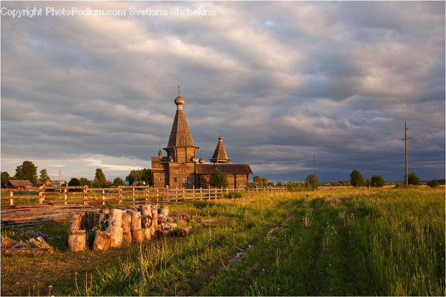 Field, Grass, Grassland, Land, Outdoors, Plant, Countryside
