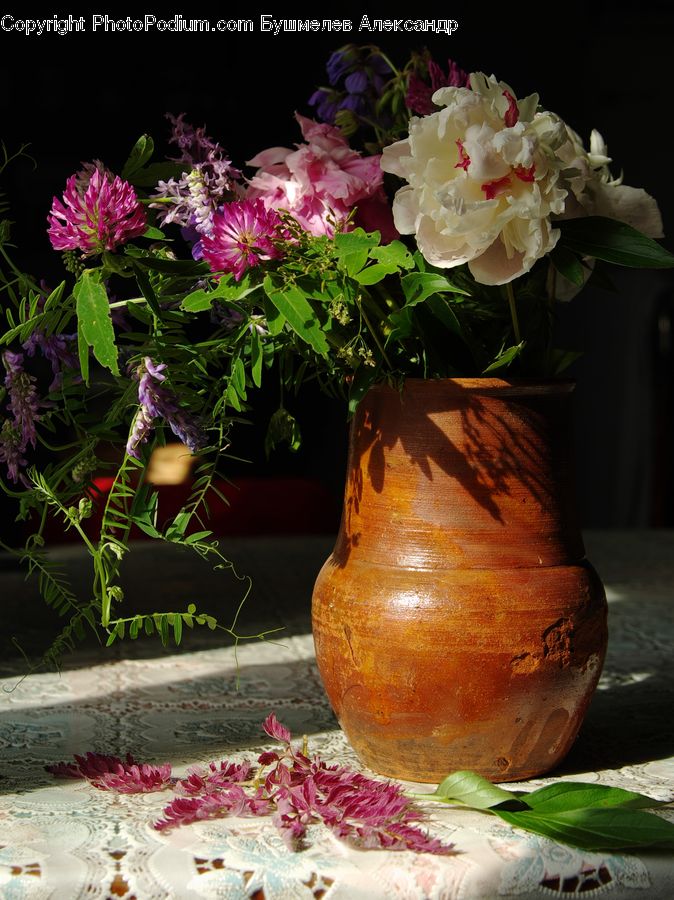 Floral Design, Flower, Flower Arrangement, Flower Bouquet, Ikebana, Plant, Potted Plant