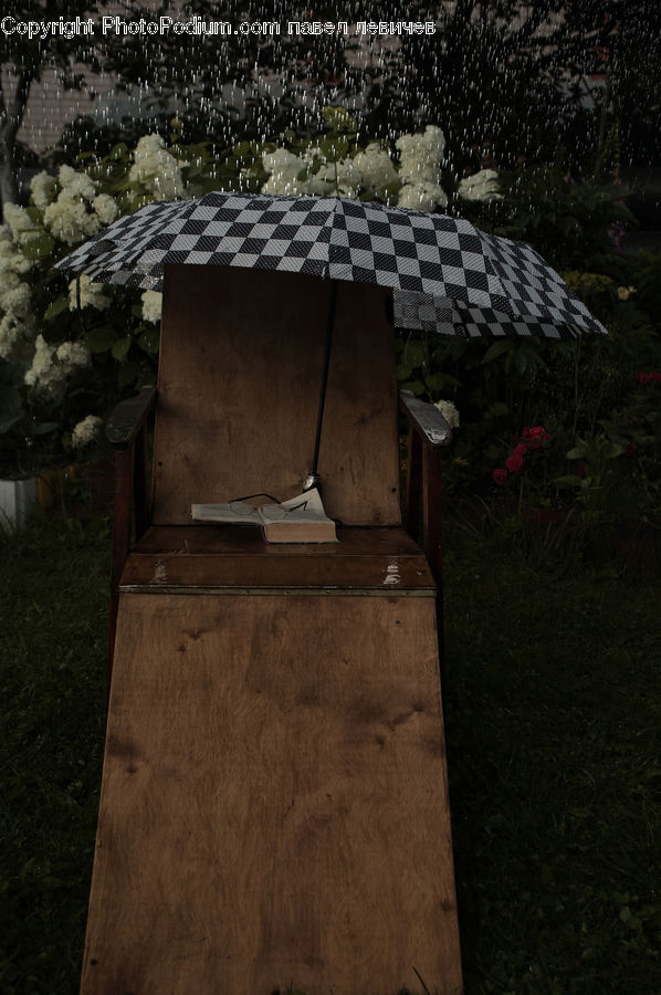 Plant, Potted Plant, Umbrella, Tomb, Gazebo, Soil, Crypt