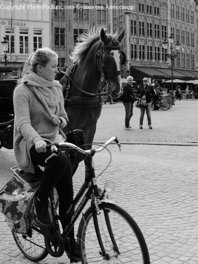 People, Person, Human, Bicycle, Bike, Cyclist, Animal