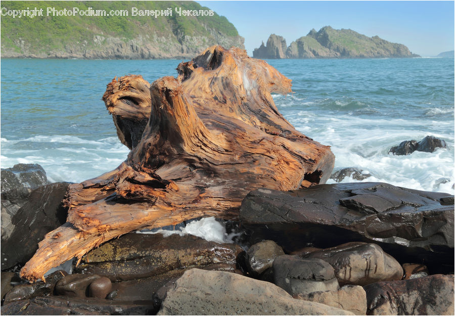 Driftwood, Wood, Rock, Promontory, Beach, Coast, Outdoors