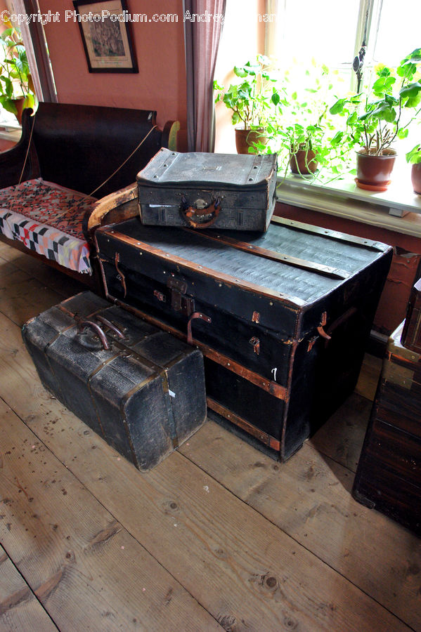 Plant, Potted Plant, Couch, Furniture, Coffee Table, Table, Herbal