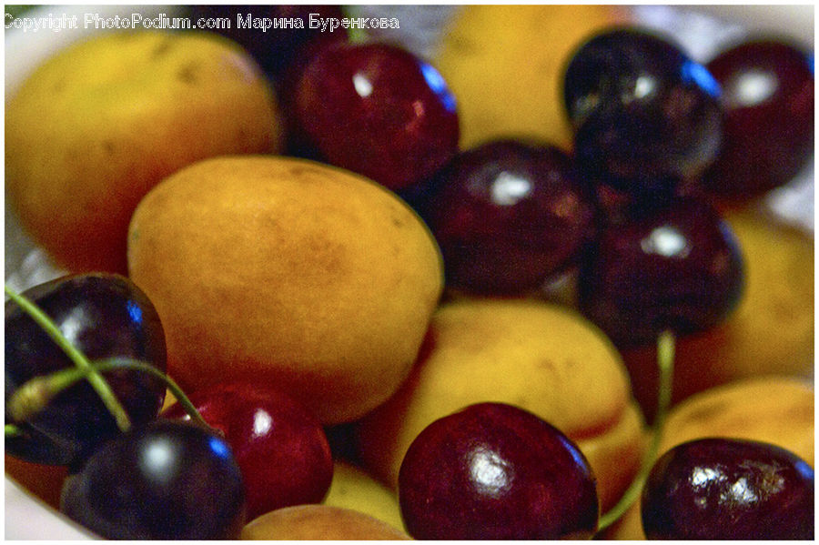 Apple, Fruit, Bowl, Cherry, Grapes, Plum, Chocolate