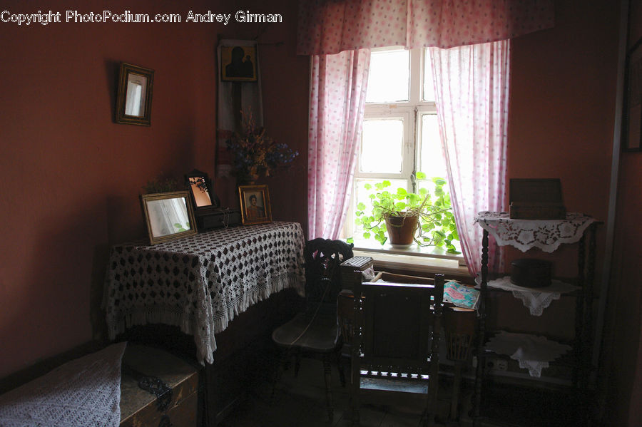 Plant, Potted Plant, Apartment, Housing, Indoors, Room, Dining Room