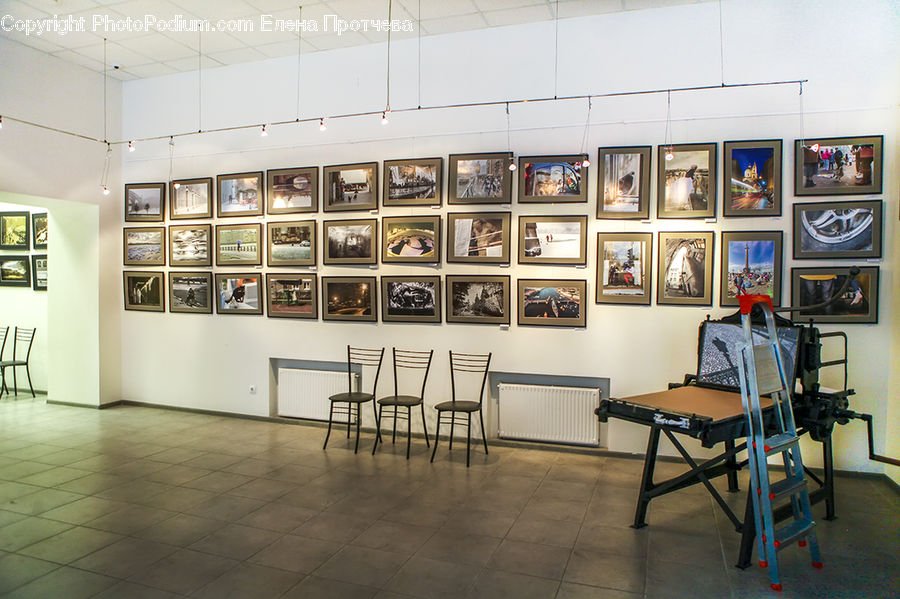 Art, Art Gallery, Indoors, Library, Room, Chair, Furniture