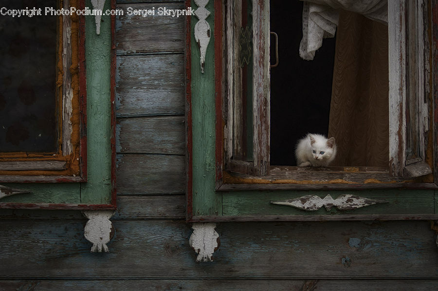 Column, Pillar, Animal, Cat, Pet, Siamese, Crypt