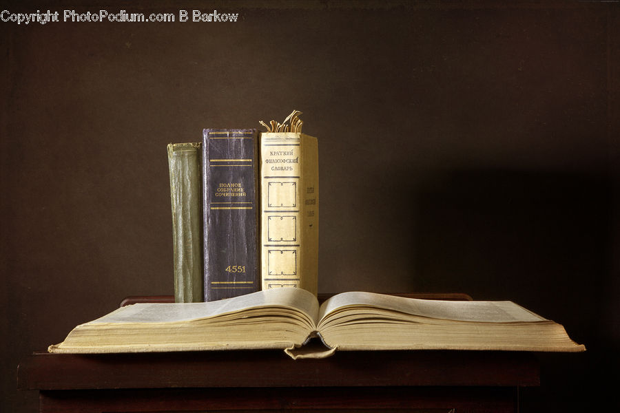 Book, Text, Indoors, Interior Design, Room
