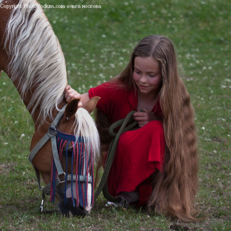 People, Person, Human, Female, Girl, Woman, Leisure Activities