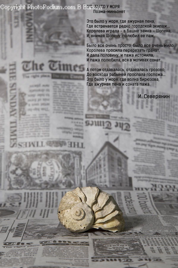 Newspaper, Text, Brochure, Flyer, Poster, Paper, Letter