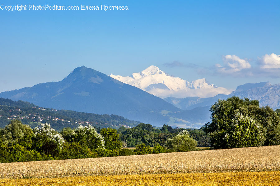 Field, Grass, Grassland, Land, Outdoors, Nature, Crest