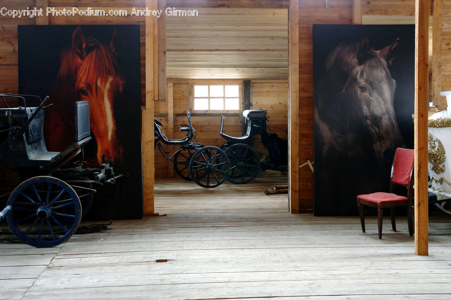 Chair, Furniture, Carriage, Horse Cart, Vehicle, Animal, Horse