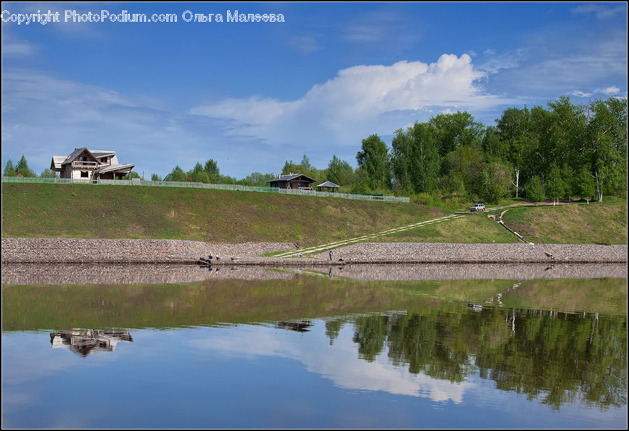 Outdoors, Pond, Water, Land, Marsh, Swamp, Field