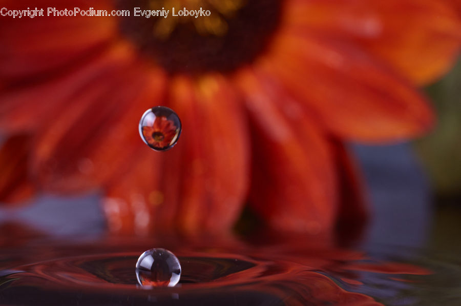 Droplet