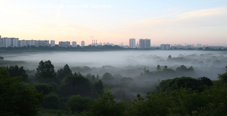 Building, City, High Rise, Fog, Mist, Outdoors, Dawn