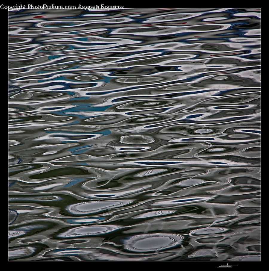 Fish, Herring, Sardine, Sea Life