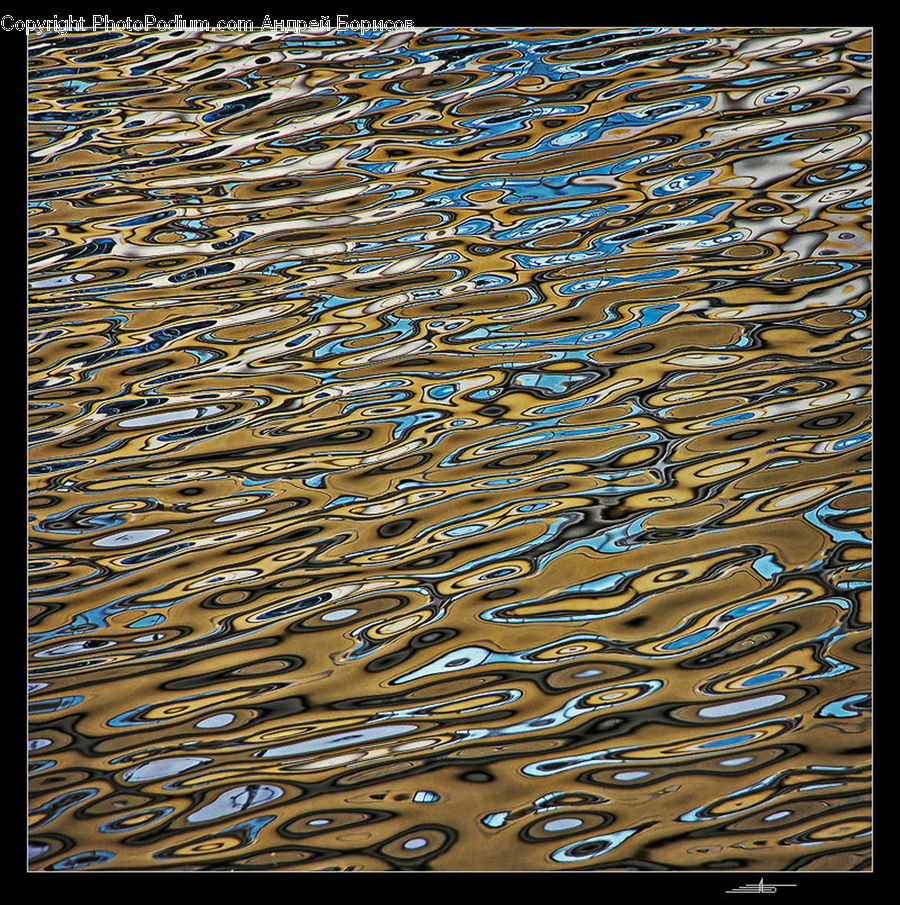 Fish, Herring, Sardine, Sea Life, Cobblestone, Pavement, Walkway