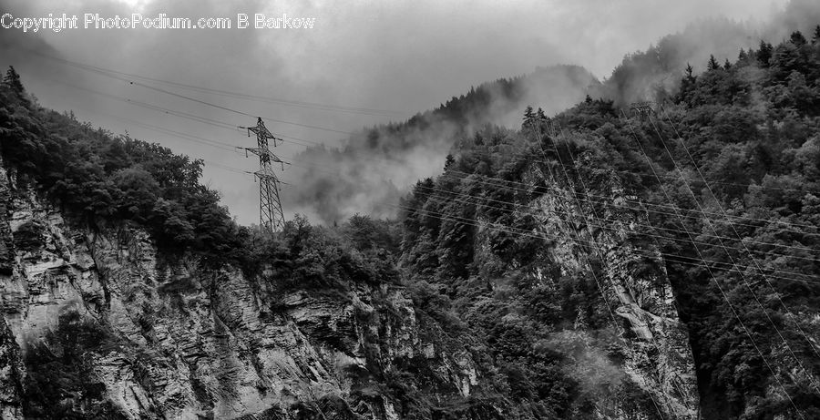 Forest, Vegetation, Alps, Crest, Mountain, Peak, Conifer