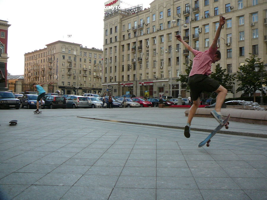 Skateboard, Sport, People, Person, Human, Bonsai, Plant