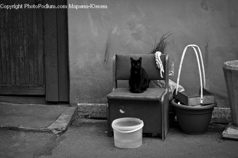 Bucket, Chair, Furniture, Alley, Alleyway, Road, Street