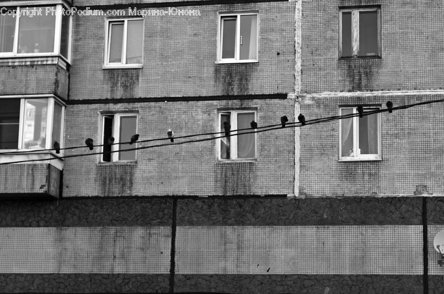Brick, Fence, Wall, Window, City, Downtown, Urban
