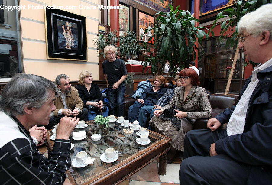 Plant, Potted Plant, People, Person, Human, Cafe, Cafeteria