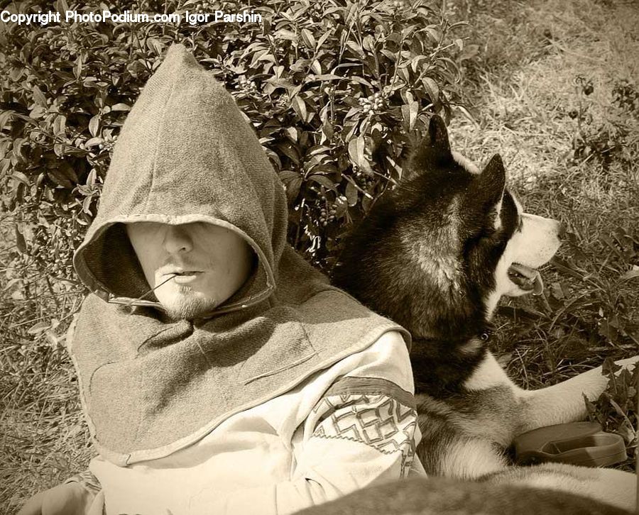 People, Person, Human, Blanket, Dog