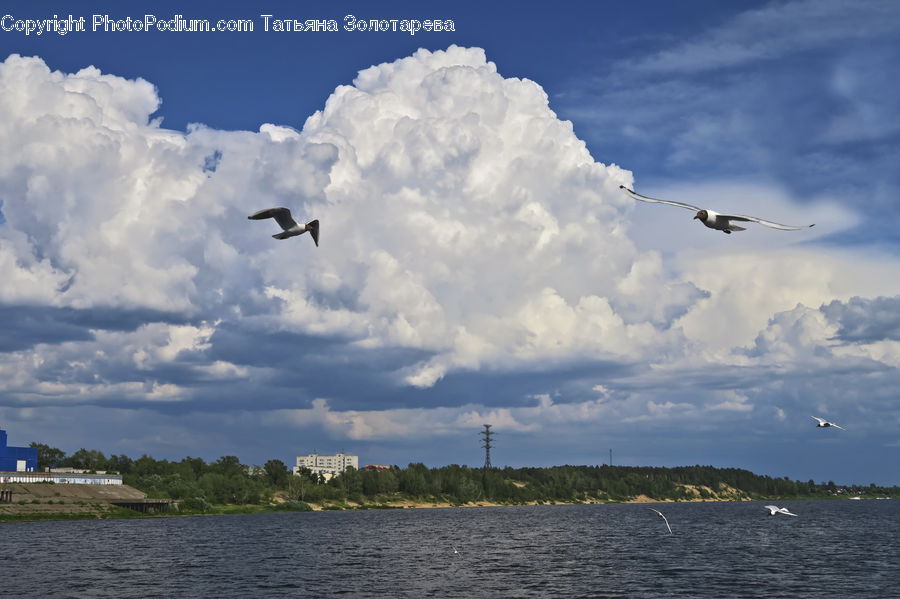 Cloud, Cumulus, Sky, Azure Sky, Outdoors, Sea, Water