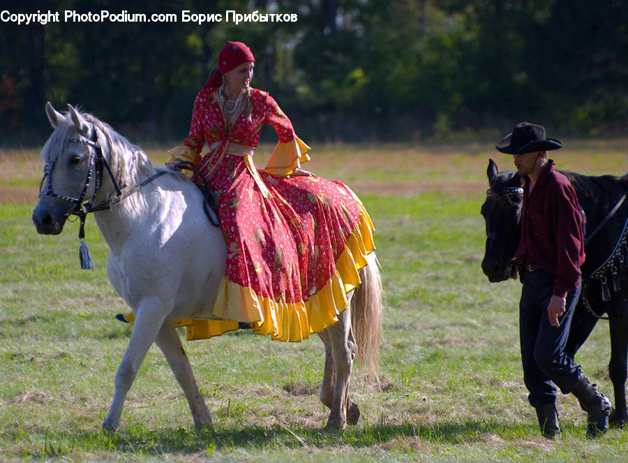 Human, People, Person, Animal, Horse, Mammal, Equestrian