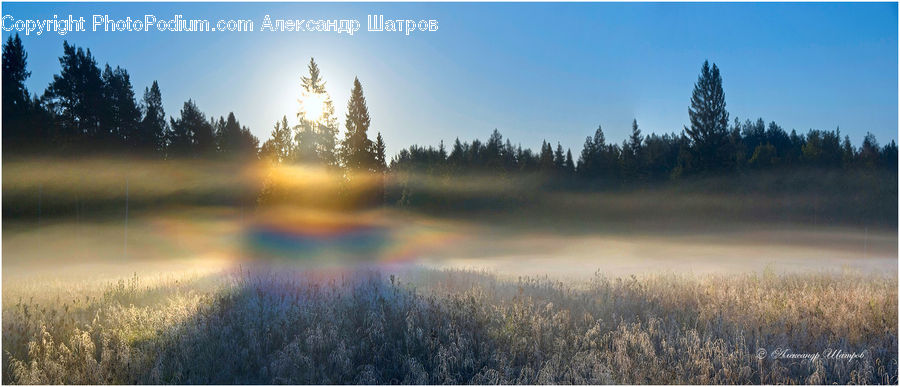 Dawn, Dusk, Sky, Sunrise, Sunset, Flare, Light