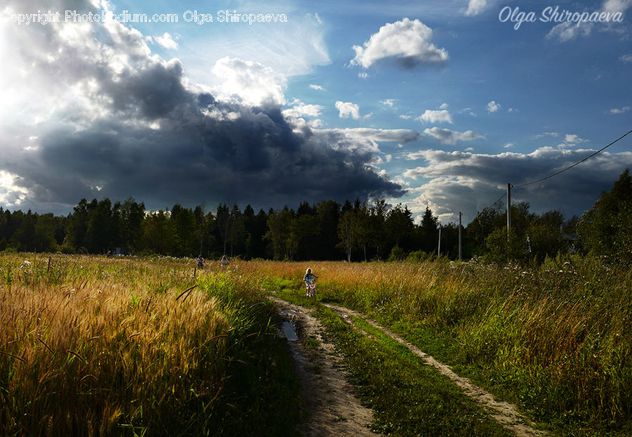 Dirt Road, Gravel, Road, Field, Grass, Grassland, Land