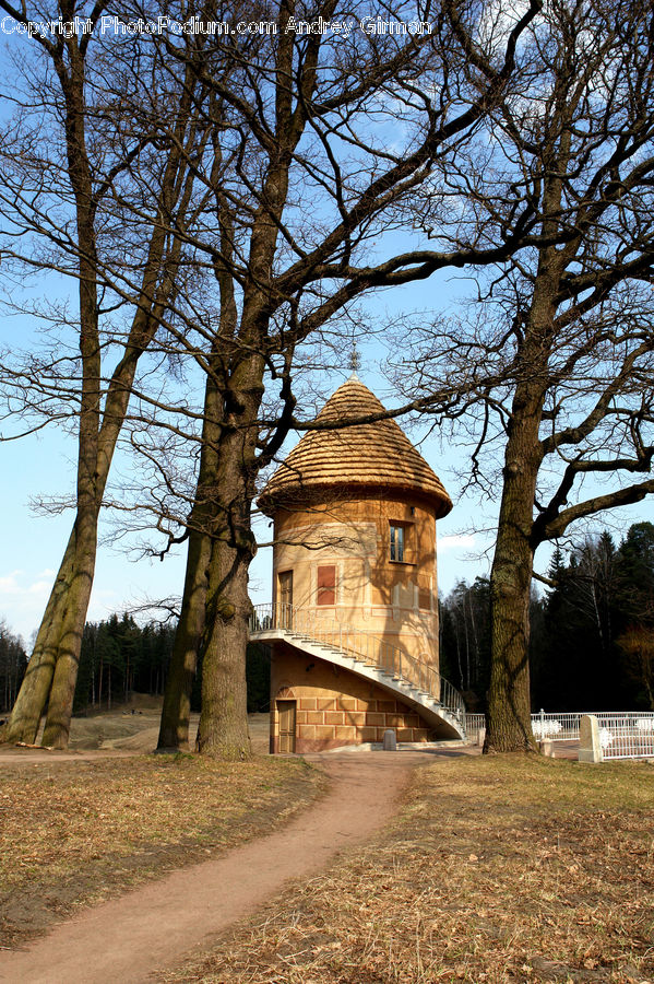 Oak, Tree, Wood, Plant, Architecture, Mansion, Column