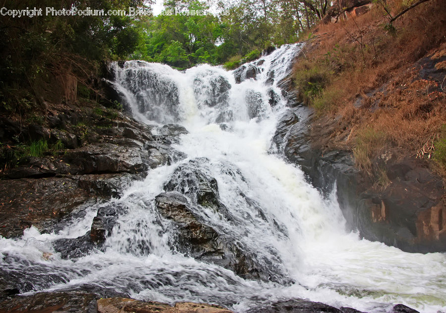 Creek, Outdoors, River, Water, Waterfall, Forest, Jungle