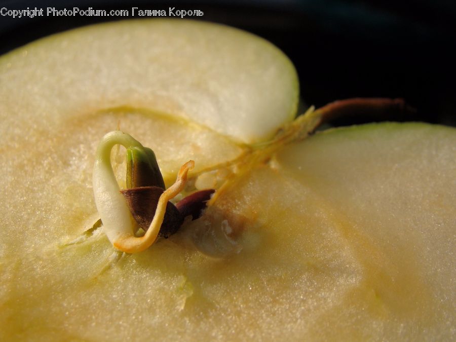 Produce, Vegetable, Food