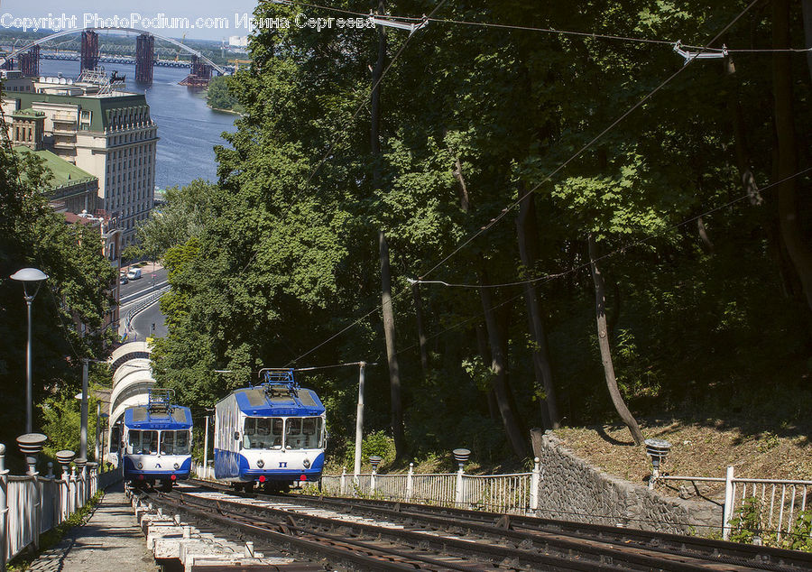 Train, Vehicle, Park Bench, Waterfront, Streetcar, Tram, Rail