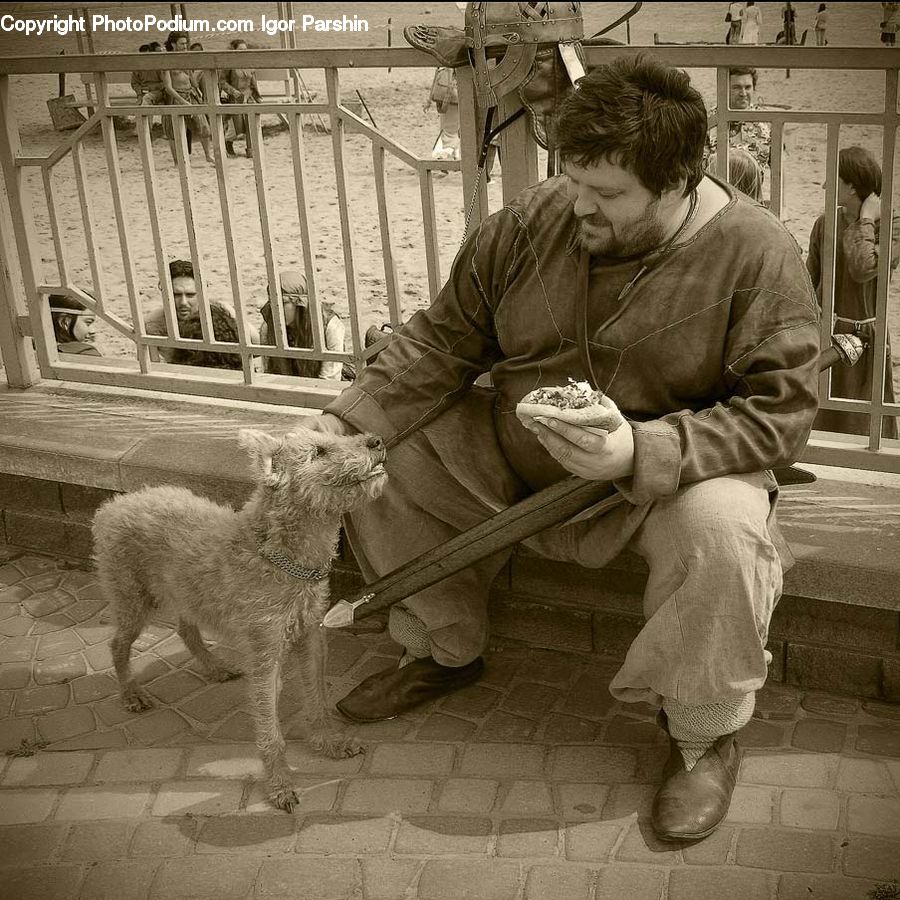 Human, People, Person, Animal, Canine, Dog, Mammal