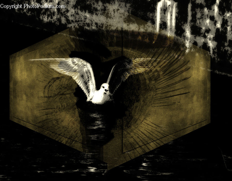 Fountain, Water, Art, Gargoyle, Statue, Bird, Booby