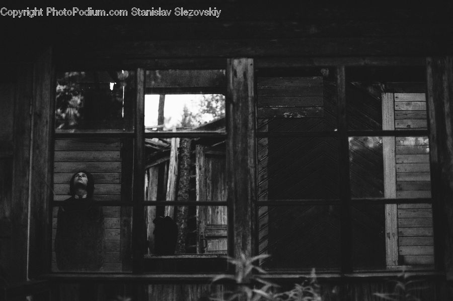 Brick, Head, Portrait, Box, Crate, Wood, Cabin